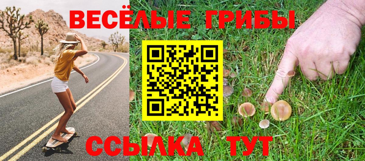 Псилоцибиновые грибы Psilocybine cubensis Россия